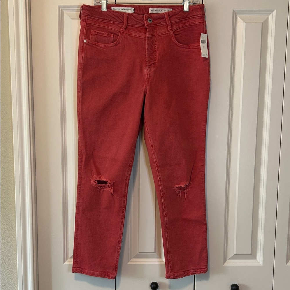 Anthropology Colored Jean